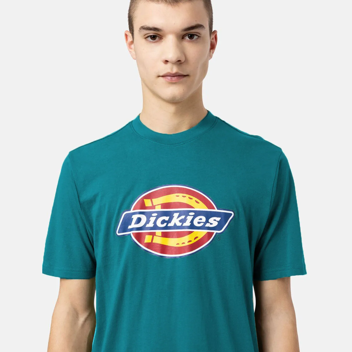 Dickies T-Shirt Icon Logo Graphic  Green