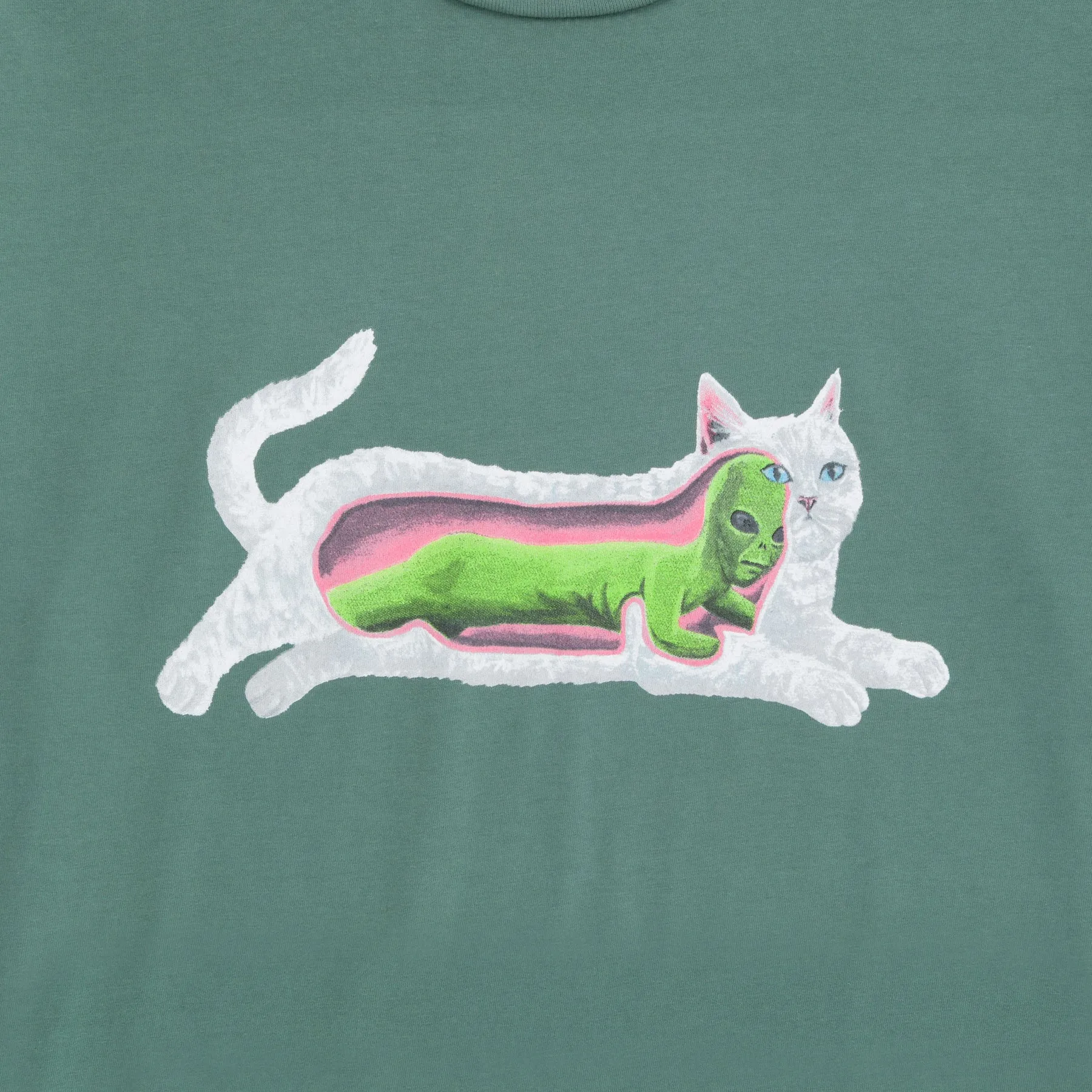 Transnerm Tee (Pine)